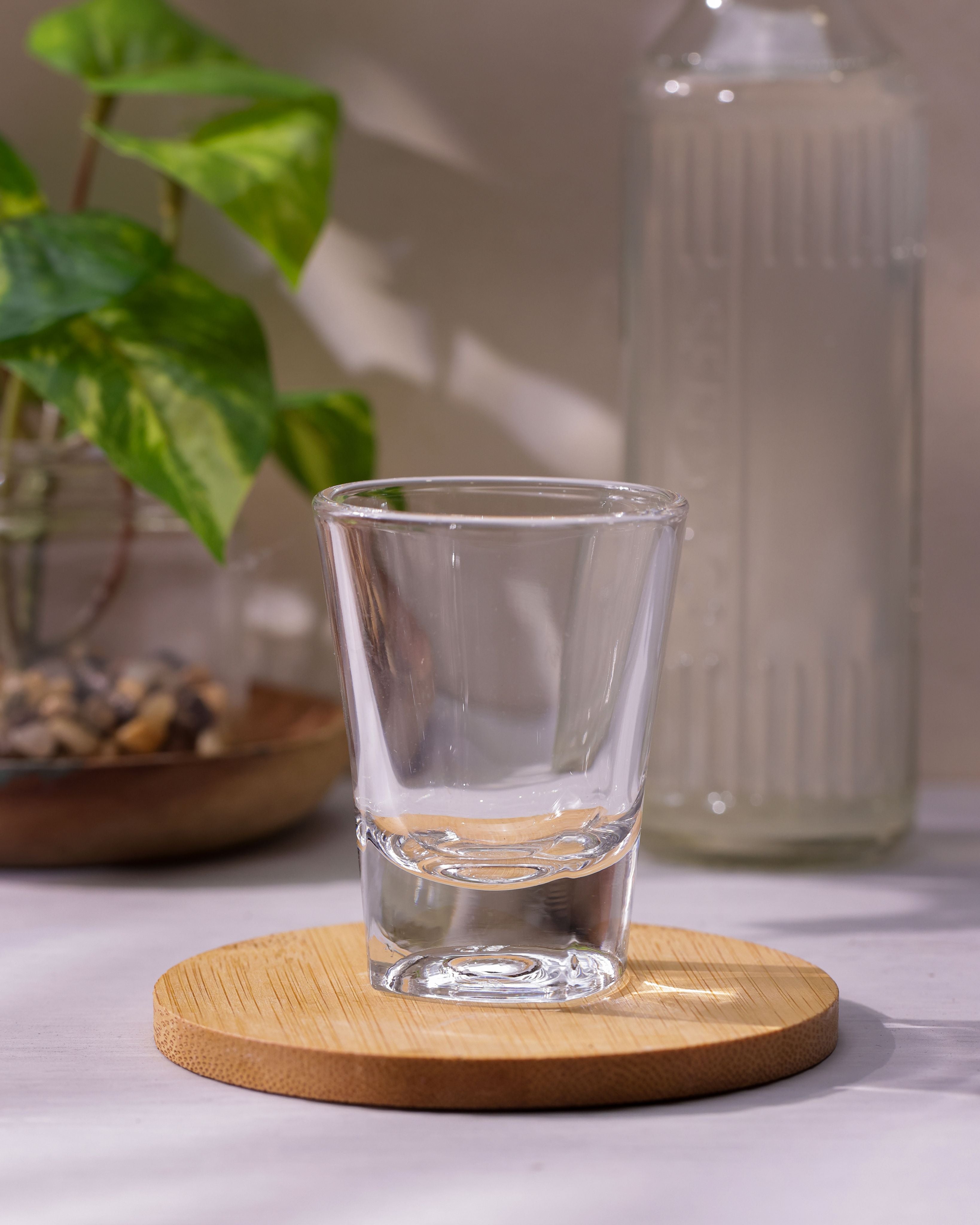 Solo Shot Glasses, 60ml, Set of 12