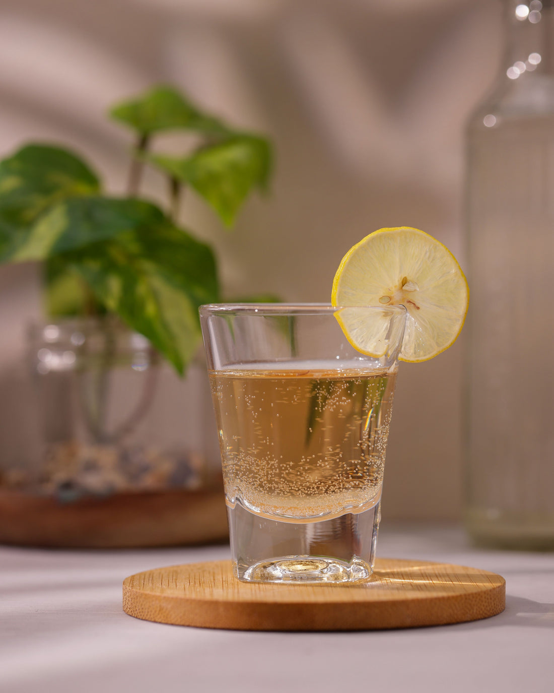 Solo Shot Glasses, 60ml, Set of 12